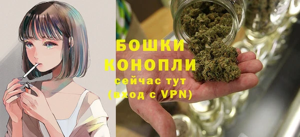 индика Майский
