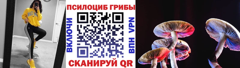 Псилоцибиновые грибы Cubensis  Арзамас 