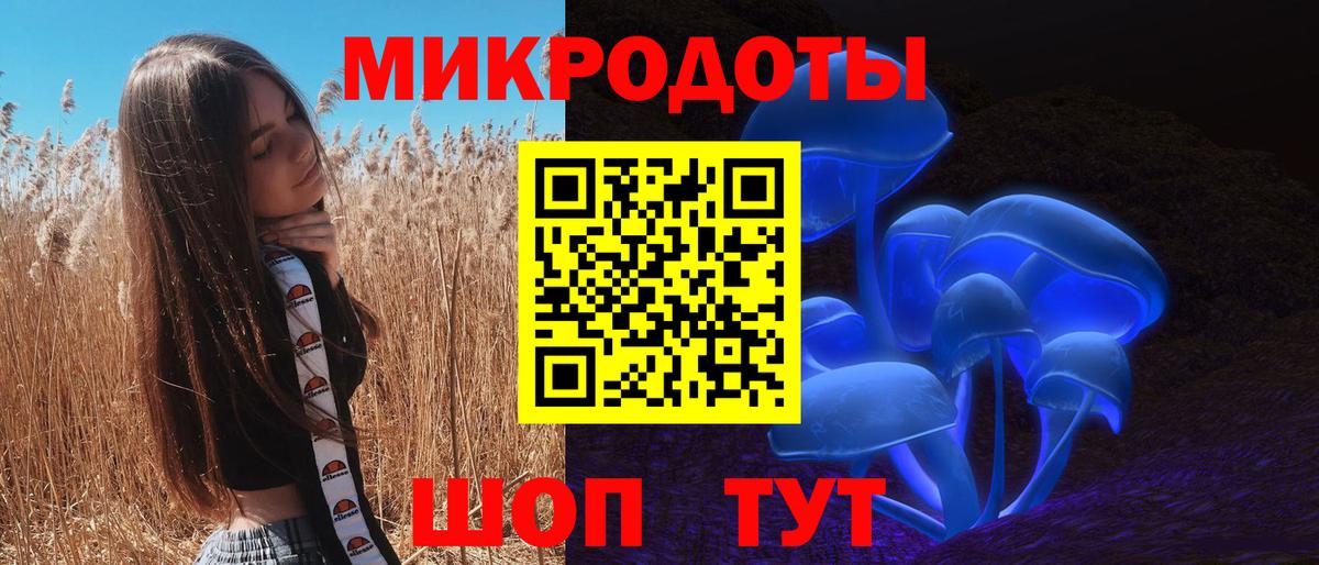 Псилоцибиновые грибы Psilocybine cubensis Арзамас
