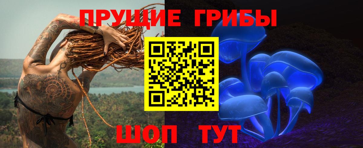 Арзамас  Галлюциногенные грибы Psilocybe  Галлюциногенные грибы прущие грибы  Вход с VPN 